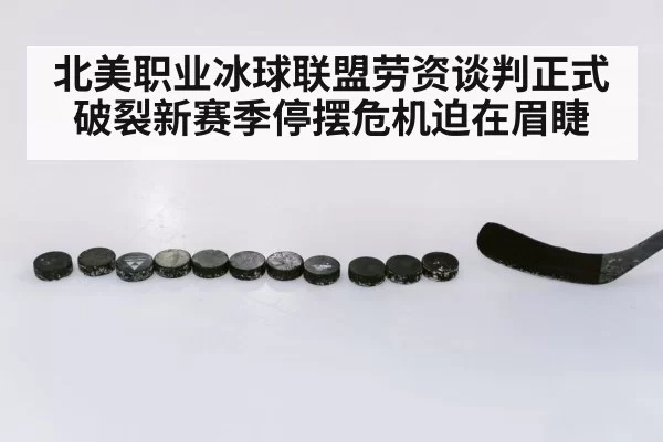 北美职业冰球联盟劳资谈判正式破裂新赛季停摆危机迫在眉睫