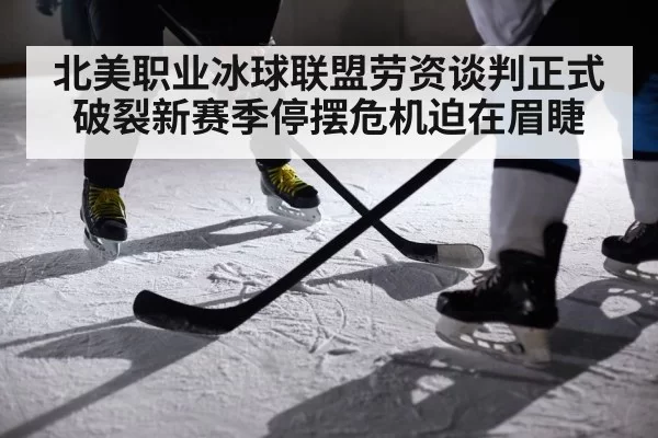 ice hockey players