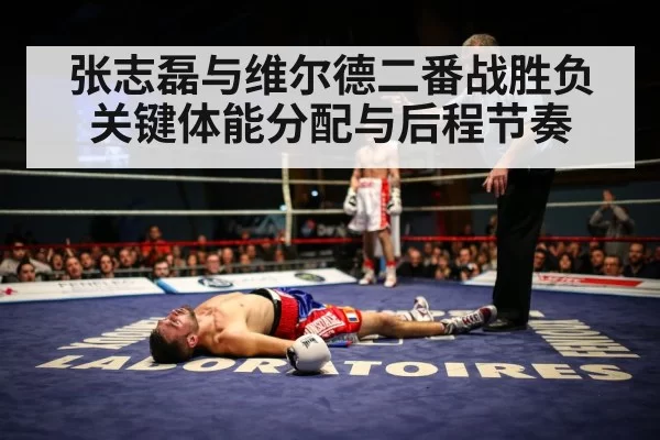 张志磊与维尔德二番战胜负关键体能分配与后程节奏